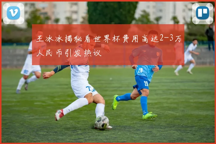 王冰冰揭秘看世界杯费用高达2-3万人民币引发热议