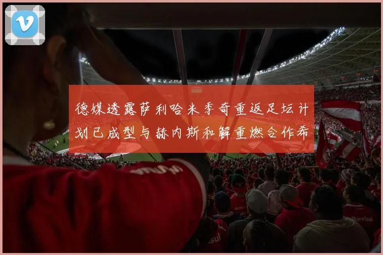 德媒透露萨利哈米季奇重返足坛计划已成型与赫内斯和解重燃合作希望